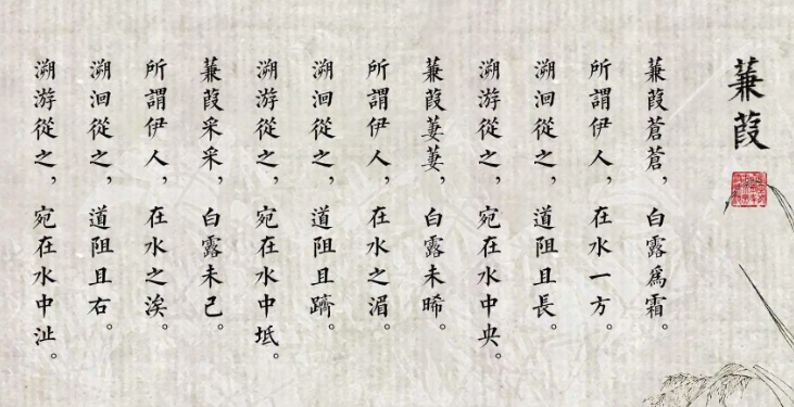 在水一方出自哪里