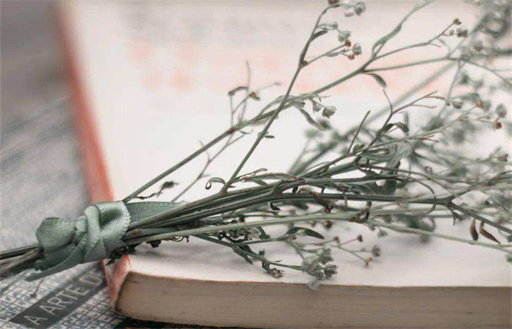 所愿皆所得下一句