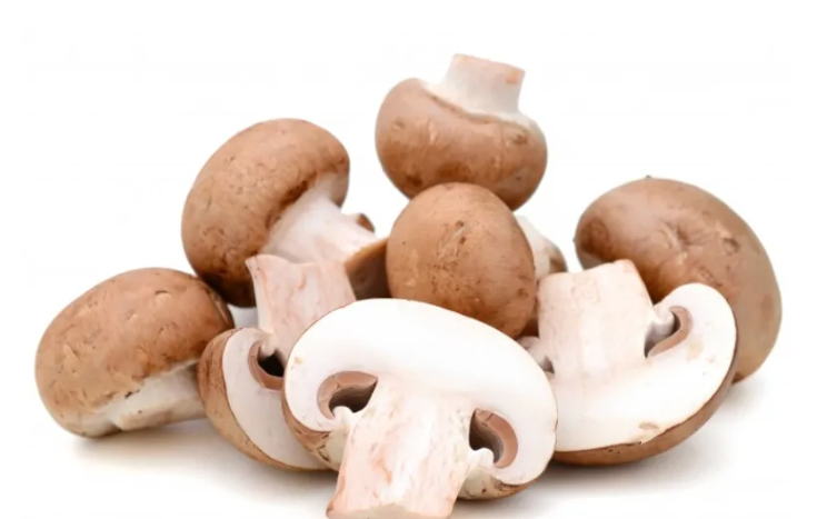 蘑菇的拼音是什么