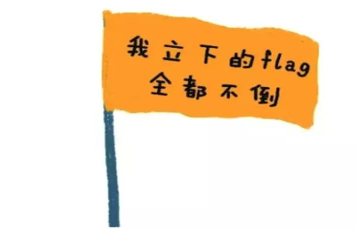flag是什么意思