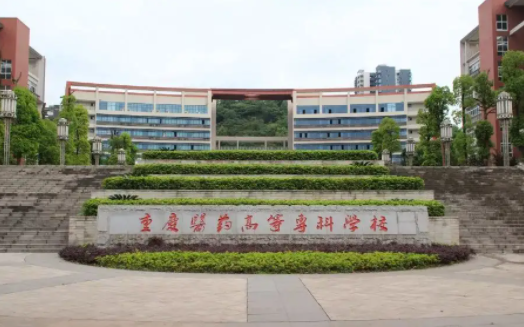 重庆市有哪几所职业学校