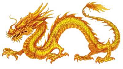 属龙的最佳伴侣是什么