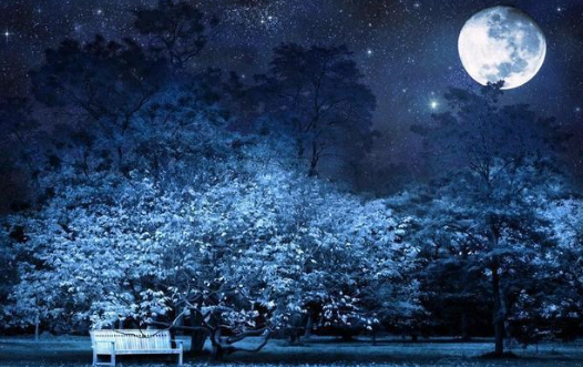 疑是地上霜是什么意思