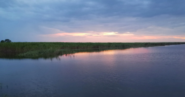 屈原跳的江叫什么江