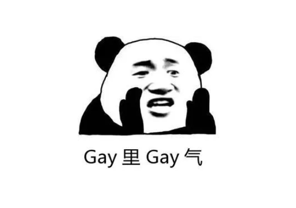 gay是什么意思