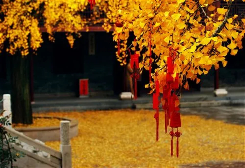 勾八是什么意思