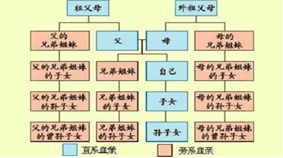 直系血亲关系包括哪些