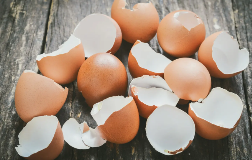 鸡蛋壳怎么做肥料