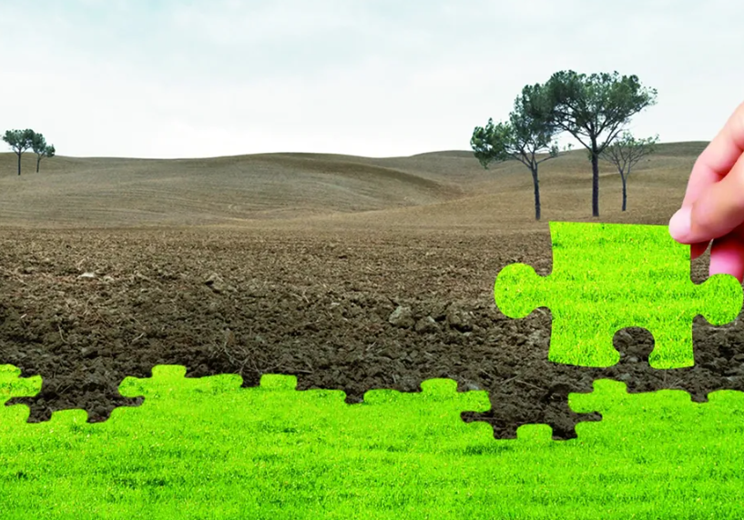 土壤污染分为几种类型？