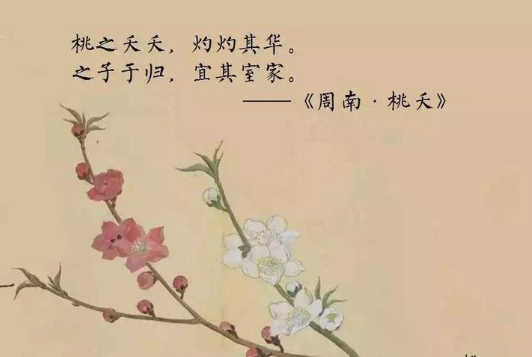 桃之夭夭,灼灼其华是什么意思?