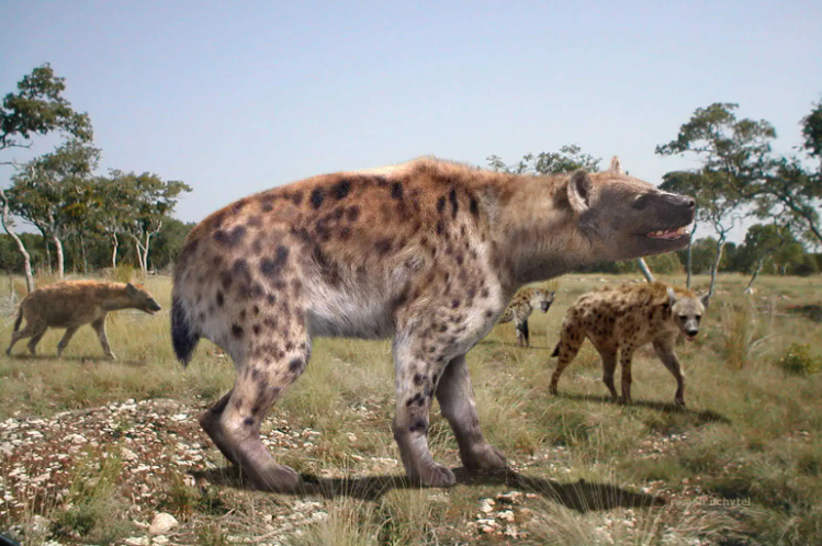 巨鬣狗为什么灭绝？