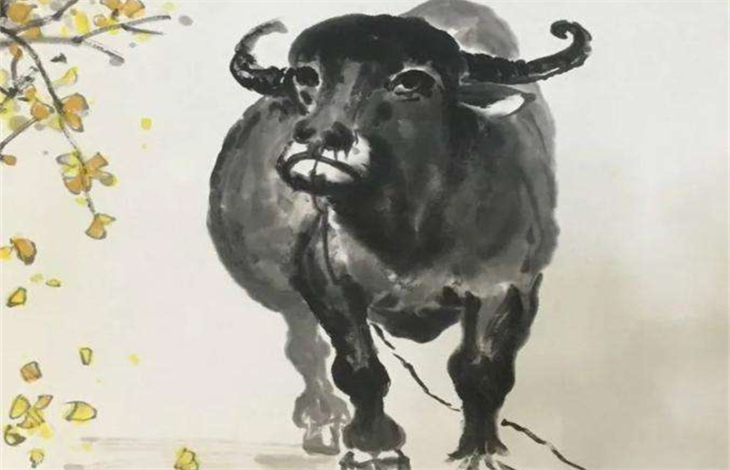 属牛的最好的配偶是什么属相