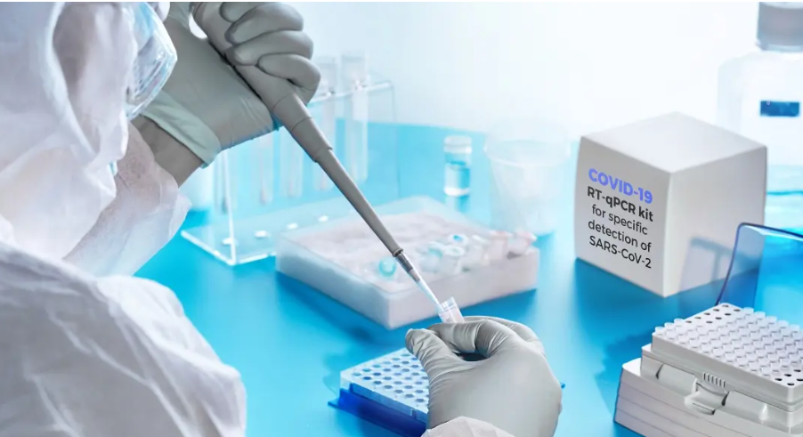 pcr证书能自己报考吗