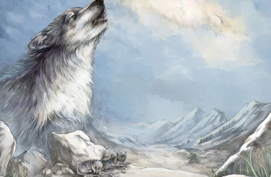 狼王梦告诉我们什么道理