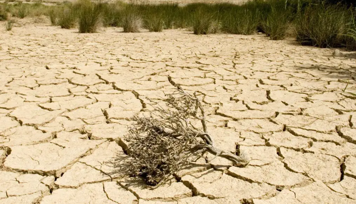 2022年是第几个防治荒漠化干旱日