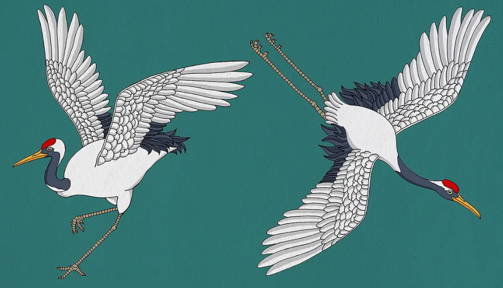 仙鹤的寓意是什么