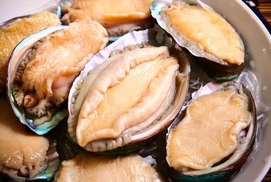 鲍鱼属于甲壳动物还是软体动物