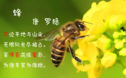 采得百花成蜜后为谁辛苦为谁甜出自哪首诗