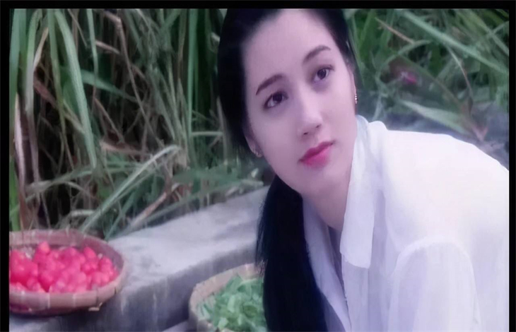 郑艳丽演过什么电视