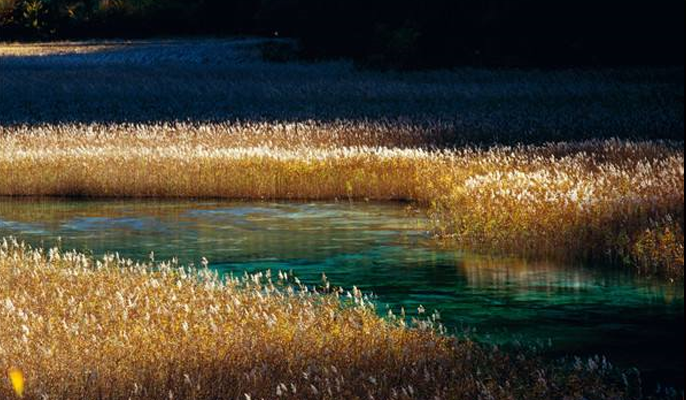 九寨沟在四川哪个城市
