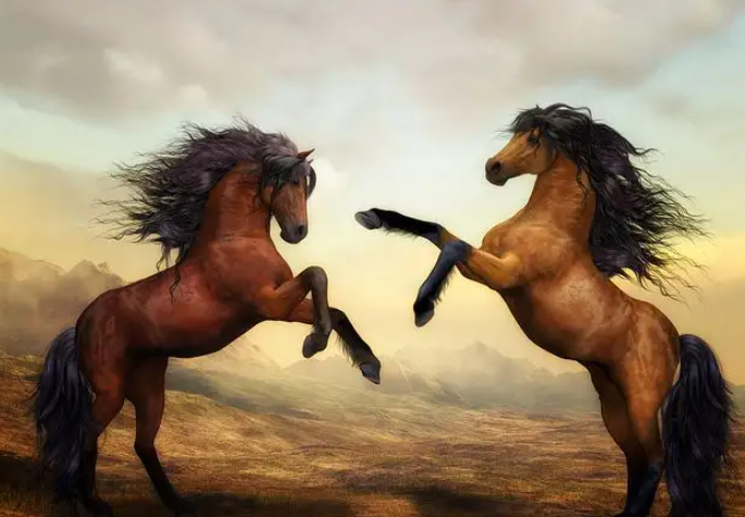 风生水起是什么生肖