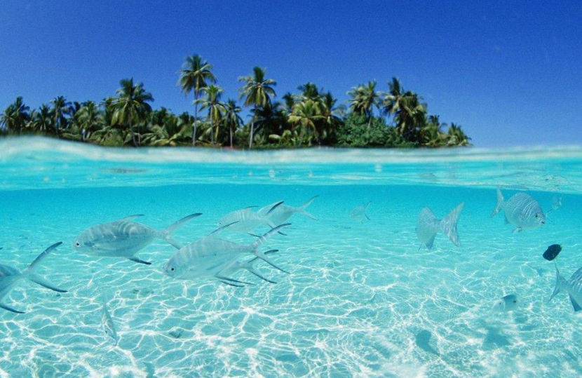 我国的海洋国土包括哪几个方面