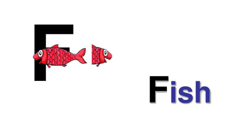 fish可数还是不可数