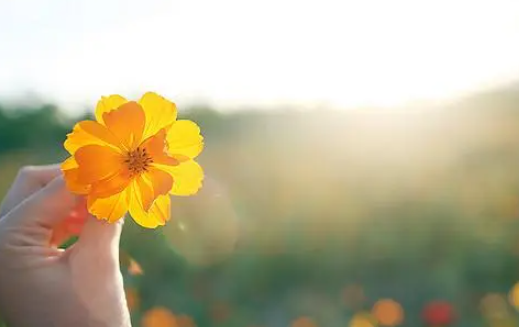 几月份开始暖和