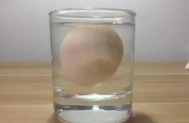 鸡蛋悬浮在盐水中的原理是什么
