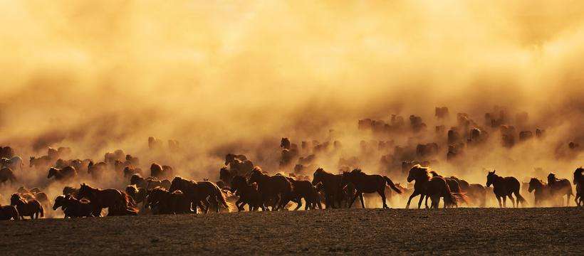 驰骋的拼音是什么