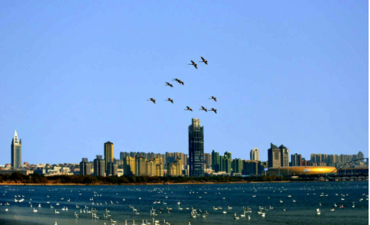 三门峡市属于哪个省