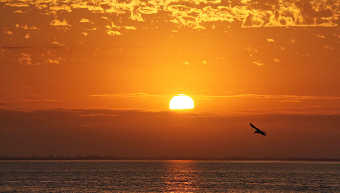 太阳的温度是多少度？