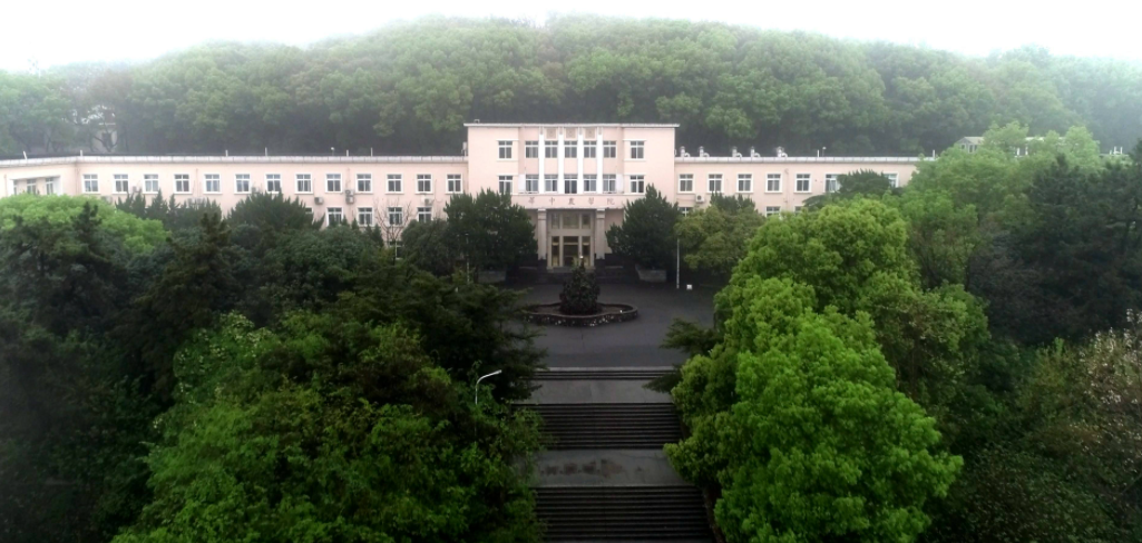 华中农业大学是985还是211