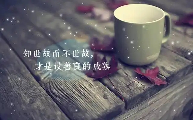 知世故而不世故是什么意思呢？