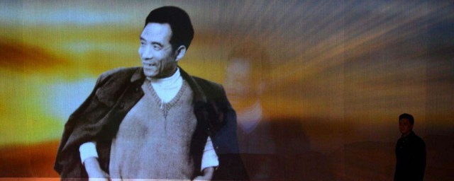 焦桐是关于谁的故事