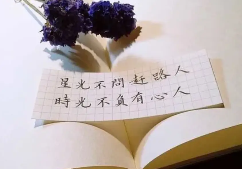 星光不问赶路人,时光不负有心人是什么意思