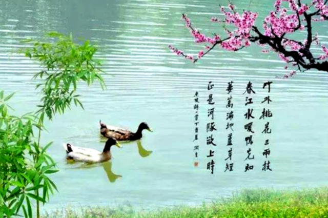 惠崇春江晚景抒发了作者什么的美好情感