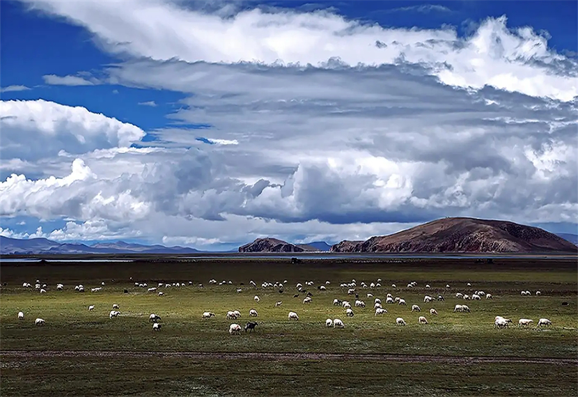 天高地阔是什么意思