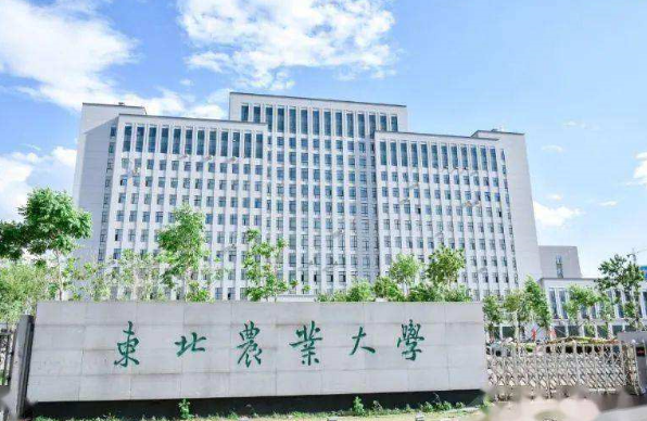 东北农业大学是不是211大学