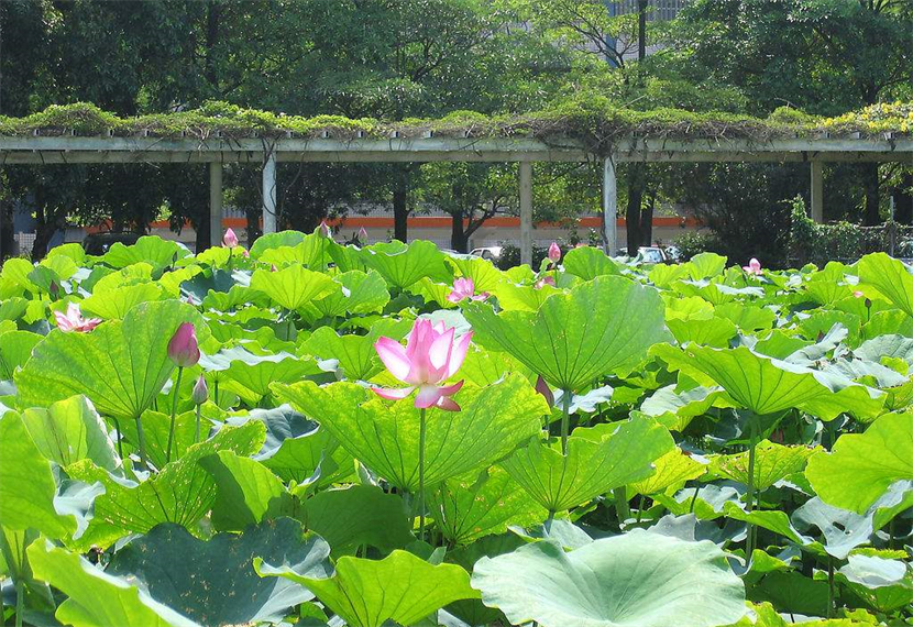 一年有几个季度？