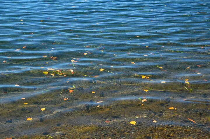 荡漾的拼音是什么