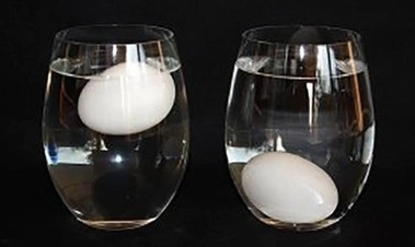 盐水浮鸡蛋实验原理