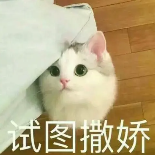 撒娇八连是哪几句