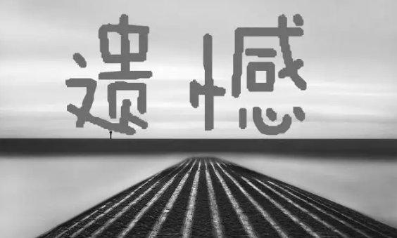 遗憾是什么意思