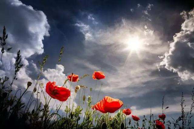 恩赐意思是什么