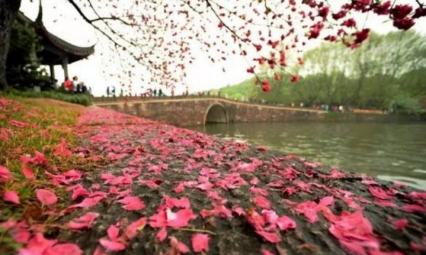 落红不是无情物全诗