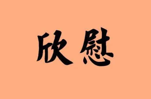 欣慰是什么意思