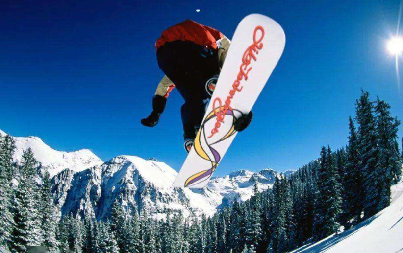 2022北京冬奥会颁奖花是什么花