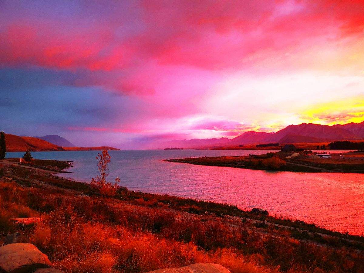 日出江花红胜火的作者是谁