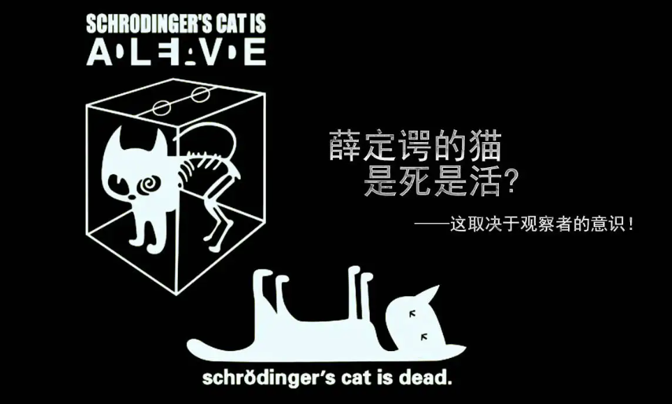 薛定谔的猫想表达什么